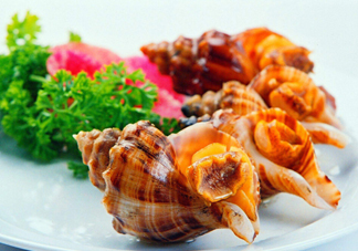 為什么海螺殼里面會有聲音？海螺和韭菜能不能一起吃