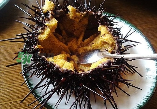 海膽有毒嗎？海膽有寄生蟲嗎