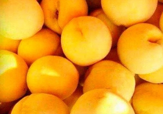 2017年炎陵黃桃多少錢一斤？炎陵黃桃為什么這么貴？