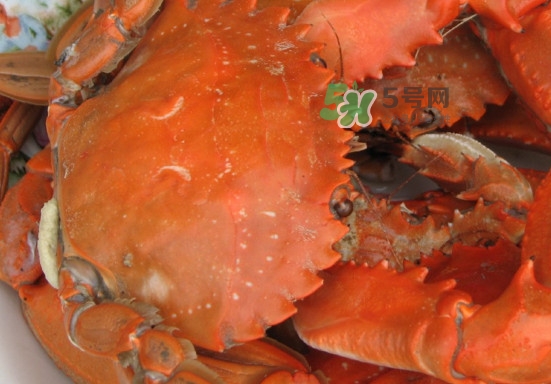 赤甲紅和花蓋是一種螃蟹嗎？赤甲紅海蟹什么時候肥