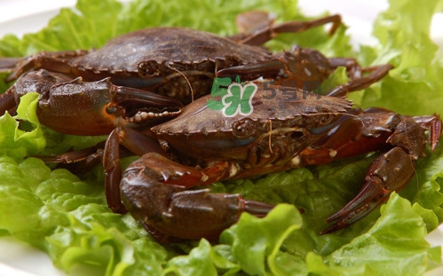 赤甲紅和花蓋是一種螃蟹嗎？赤甲紅海蟹什么時候肥