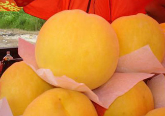 錦繡黃桃多少錢一斤？錦繡黃桃好吃嗎？