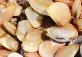 海瓜子是放涼水煮還是熱水？海瓜子淡水能養(yǎng)活嗎