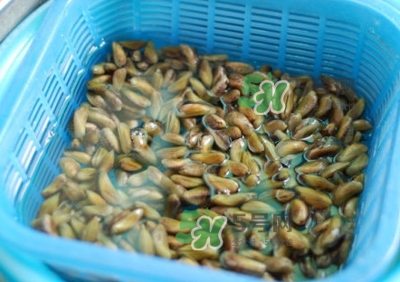 薄殼有寄生蟲嗎？薄殼米怎樣保鮮