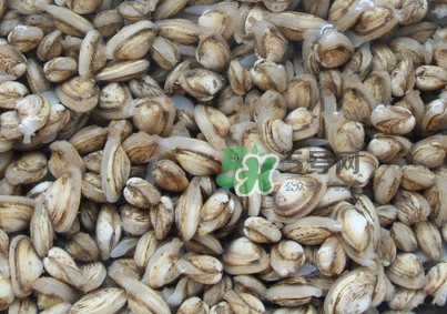 海瓜子可以放幾天？海瓜子可以煮湯嗎