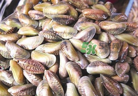 海瓜子煮多久能熟？海瓜子為什么放在水里殼不張開(kāi)