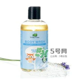 英國小樹苗英國沒有嗎？英國小樹苗官網(wǎng)地址是什么