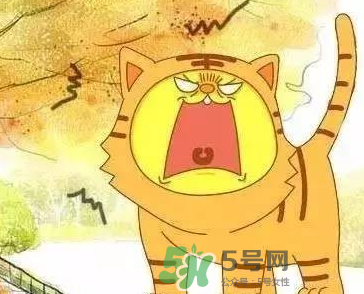 2017年秋老虎什么時(shí)候開始？2017年秋老虎多長(zhǎng)時(shí)間？