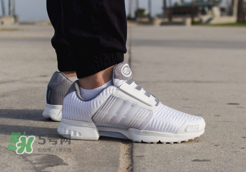 adidas climacool los angeles洛杉磯別注款怎么買_在哪買？
