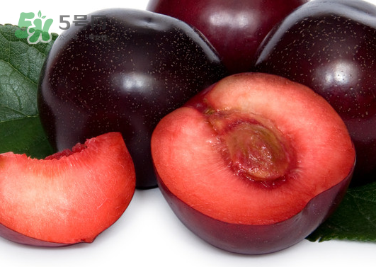 黑布林和火龍果能一起吃嗎？黑布林可以和火龍果一起吃嗎？