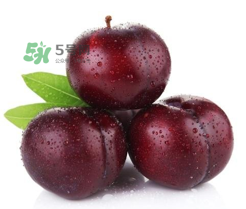 黑布林可以泡酒嗎？黑布林怎么吃？