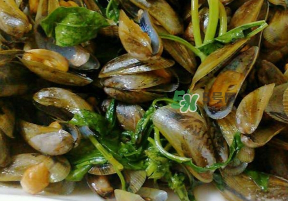 薄殼是海瓜子嗎？薄殼是海鮮嗎