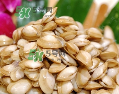 海瓜子怎么養(yǎng)？如何挑選海瓜子