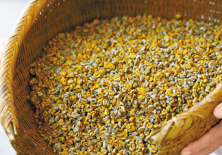 薄殼多少錢一斤？薄殼米多少錢一斤？