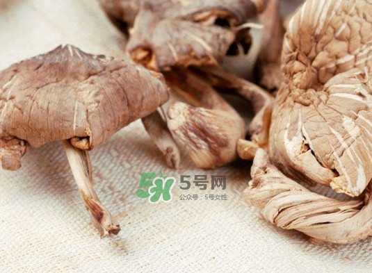 雞樅菌怎么讀？雞樅菌怎么做好吃？