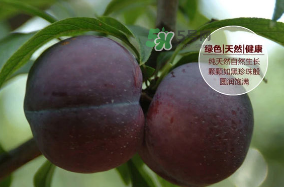 黑布林什么時候吃最好？黑布林什么人不能吃？