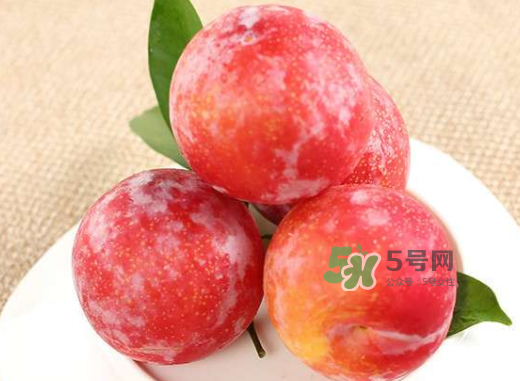 紅布林孕婦可以吃嗎？孕婦可以吃紅布林嗎？