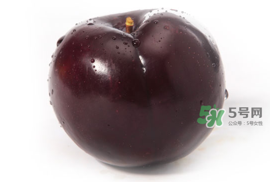 黑布李多少錢一斤？黑布李和紅布李哪個貴？