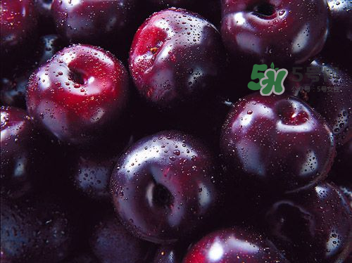 黑布李多少錢一斤？黑布李和紅布李哪個貴？