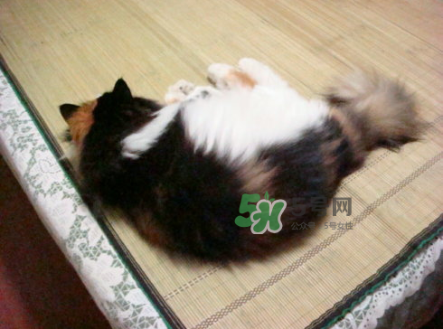 三伏天可以睡涼席嗎？三伏天睡涼席好嗎？