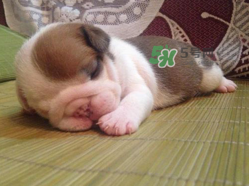 三伏天可以睡涼席嗎？三伏天睡涼席好嗎？