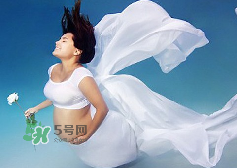 家里有寵物狗對(duì)孕婦好嗎？懷孕了家里有寵物要緊嗎？