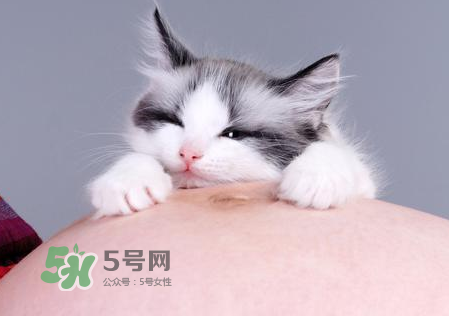 孕婦被貓抓了怎么辦？孕婦被貓抓傷了對寶寶有什么影響？