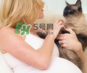 孕婦被貓抓了怎么辦？孕婦被貓抓傷了對寶寶有什么影響？