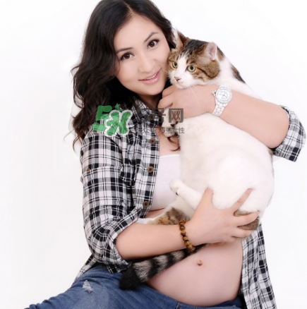 孕婦被貓抓了怎么辦？孕婦被貓抓傷了對寶寶有什么影響？