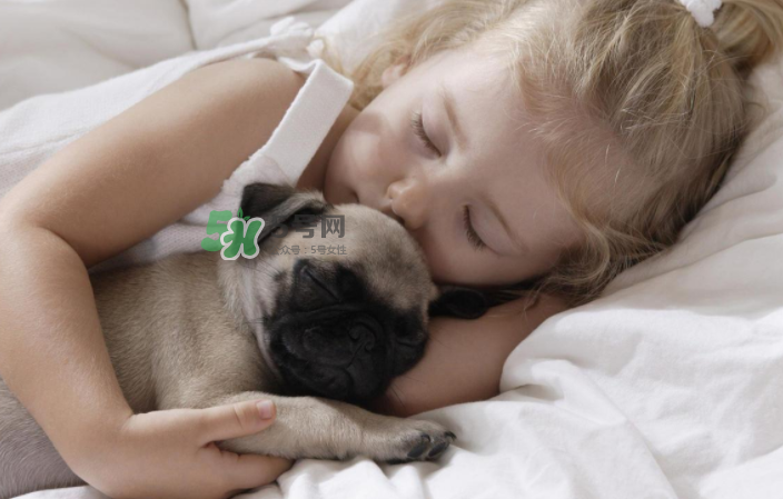 寵物對(duì)嬰兒的影響 寵物對(duì)嬰兒的危害有哪些？