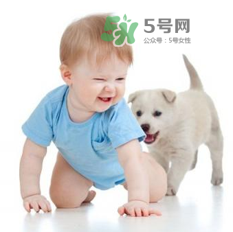 寵物對(duì)嬰兒的影響 寵物對(duì)嬰兒的危害有哪些？