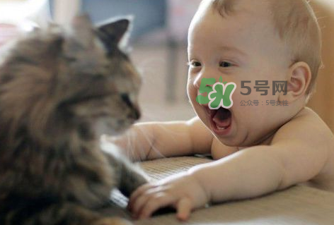 嬰兒被貓抓了怎么辦？嬰兒被貓咪咬了怎么辦？