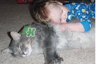 嬰兒被貓抓了怎么辦？嬰兒被貓咪咬了怎么辦？