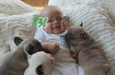 嬰兒被貓抓了怎么辦？嬰兒被貓咪咬了怎么辦？