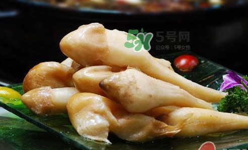 雞樅菌什么時候有？雞樅菌生長在什么地方