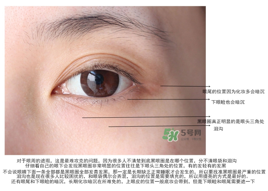 catrice五色遮瑕膏怎么用?catrice五色遮瑕膏使用方法 catrice五色遮瑕膏怎么用?catrice五色遮瑕膏使用方法