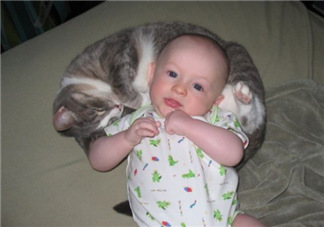 嬰兒被貓抓了怎么辦？嬰兒被貓咪咬了怎么辦？