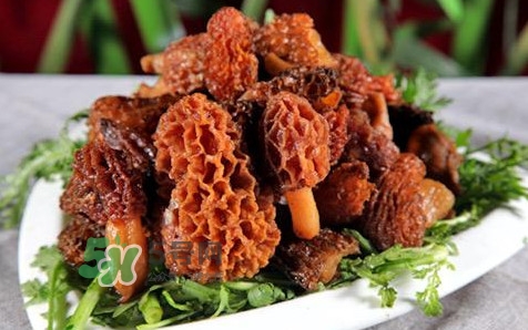 羊肚菌生長(zhǎng)在什么地方？羊肚菌同什么煲湯最好