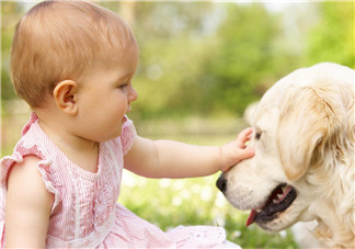 寵物對(duì)嬰兒的影響 寵物對(duì)嬰兒的危害有哪些？