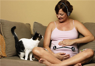 孕婦被貓抓了怎么辦？孕婦被貓抓傷了對寶寶有什么影響？