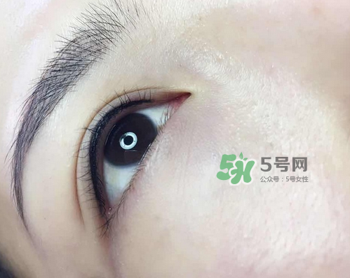 美瞳線有幾種款式？美瞳線有小尾巴嗎？