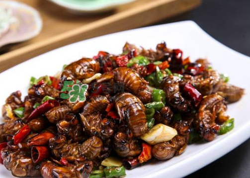 八月份還有知了猴嗎？知了幾月份就沒有了？