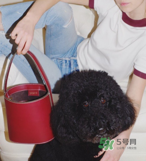 staud水桶包多少錢(qián)？staud水桶包專(zhuān)柜價(jià)格