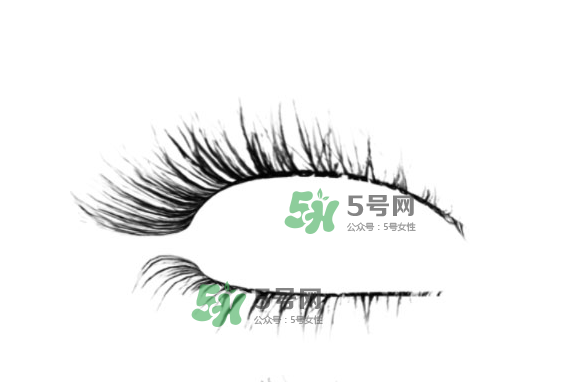 種睫毛會(huì)掉自己睫毛嗎？種睫毛掉了還會(huì)長(zhǎng)嗎？