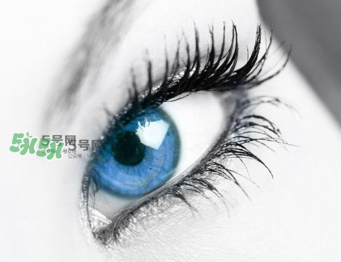 種睫毛會(huì)掉自己睫毛嗎？種睫毛掉了還會(huì)長(zhǎng)嗎？