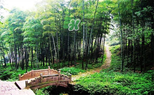 夏天去哪里旅游最好？夏天旅游哪里涼快？