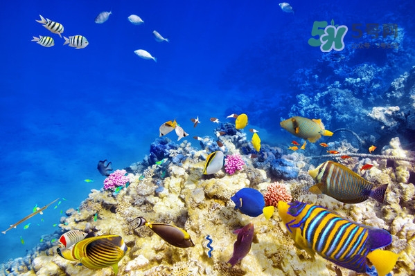 夏天去哪里旅游最好？夏天旅游哪里涼快？