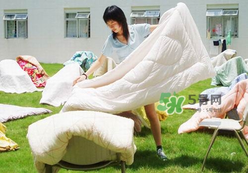 三伏天能曬被子嗎？三伏天曬被子好嗎？