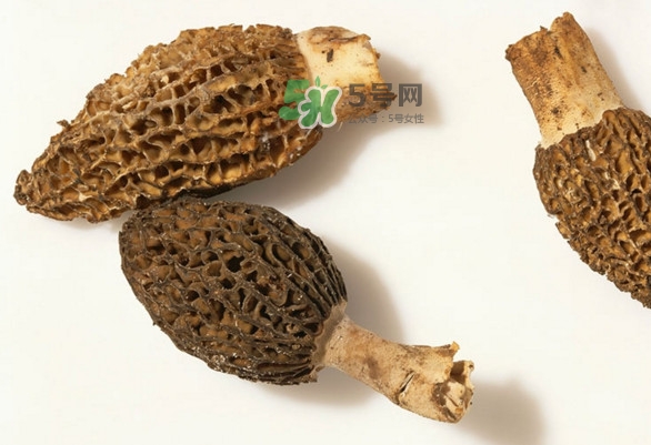 羊肚菌可以泡茶喝嗎？羊肚菌可以生吃嗎