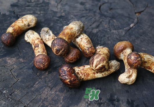 新鮮松茸怎么吃？松茸怎么吃最有營(yíng)養(yǎng)